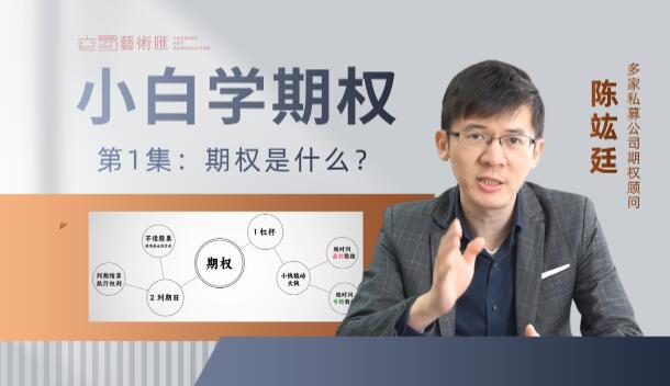 【策略星學院】《策略星學院從零開始學期權：基礎課 視頻+PDF 共20文件》