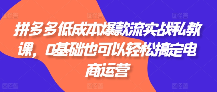 拼多多低成本爆款流實戰私教課，0基礎也可以輕松搞定電商運營
