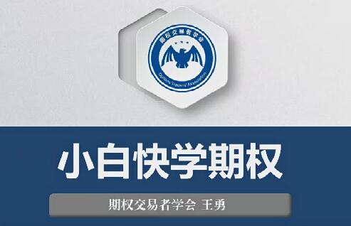 【王勇】《王勇 小白快學期權視頻教程（9講）》