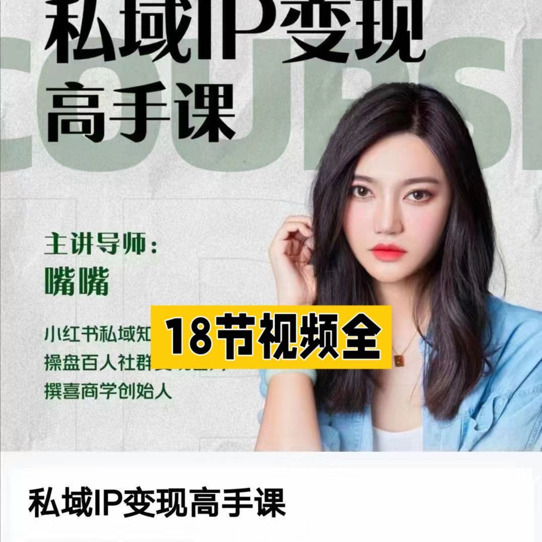 嘴嘴私域IP變現(xiàn)高手課，做好私域，被動成交，教你如何打