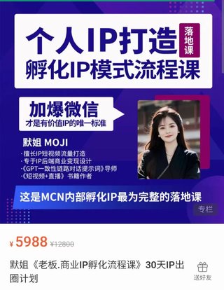 【抖音上新】默姐·老板商業(yè)IP孵化流程課 30天IP出圈計(jì)劃，一套最為完整的個人IP短視頻落地課程（高階版）