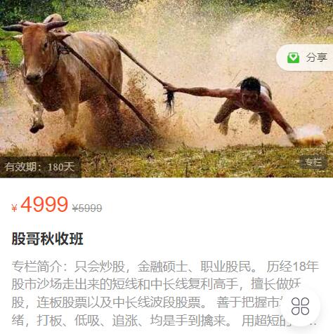 【只會炒股】原價4999元的《只會炒股2023年8-10月 股哥秋收班視頻課程 共16視頻》