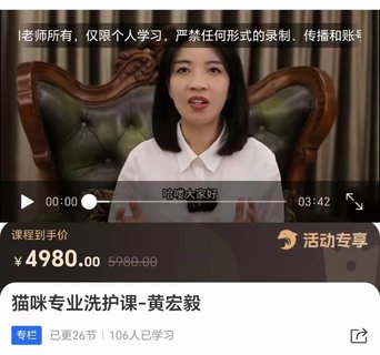 【抖音上新】貓咪專業洗護課-黃宏毅插圖 【抖音上新】貓咪專業洗護課-黃宏毅
