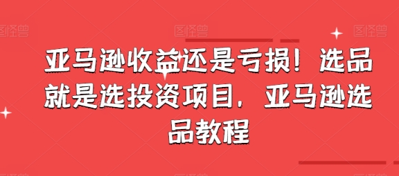 亞馬遜收益還是虧損！選品就是選投資項目，亞馬遜選品教程插圖