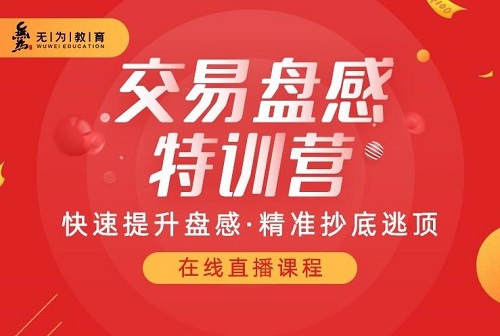 【無為】《無為投資課堂 第238期盤感實操應用課 共19節課》插圖
