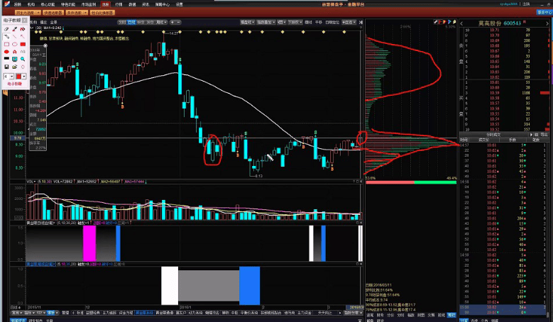 【俞湧】籌碼集中營教學視頻上下共2講