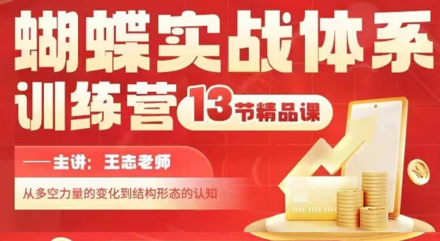 無為王志蝴蝶實戰體系訓練營第二期課程