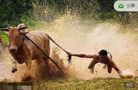 【股哥】股哥訓練營只會炒股2024年3-5月 只會炒股春分班視頻課程 共16視頻