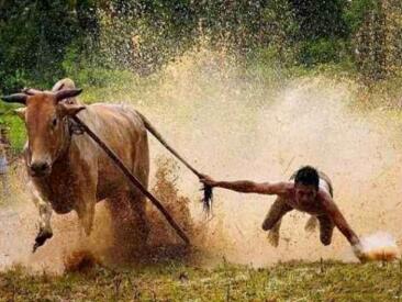 【只會炒股】原價4999元的《只會炒股 股哥23期金融訓(xùn)練營》