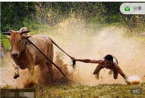 只會炒股2024年1-3月 股哥龍騰班視頻課程