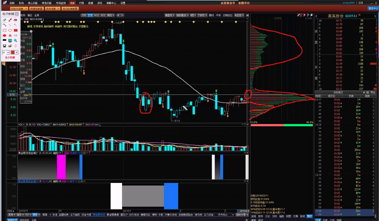 籌碼集中營教學(xué)視頻上下共2講（俞湧）