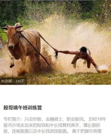 【只會(huì)炒股】《股哥2023年6-8月 端午班訓(xùn)練營視頻課程 共16視頻》