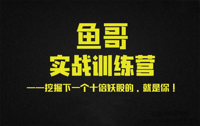 魚(yú)哥實(shí)戰(zhàn)超短訓(xùn)練營(yíng)視頻+講義