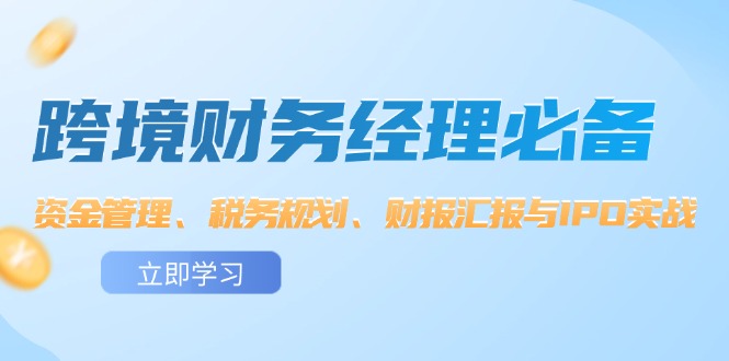 跨境財務經理必備：資金管理、稅務規(guī)劃、財報匯報與IPO實戰(zhàn)插圖