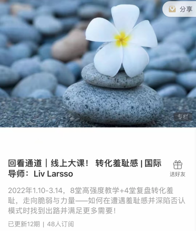 轉(zhuǎn)化羞恥感 _ 國際導師：Liv Larsso插圖