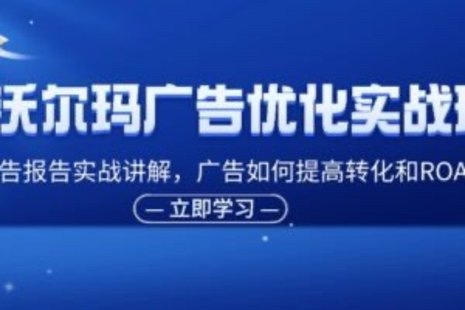 【網賺上新】090.沃爾瑪廣告優化實戰班，廣告報告實戰講解，廣告如何提高轉化和ROAS等
