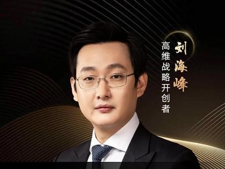 劉海峰 高維戰(zhàn)略——增長(zhǎng)篇（10節(jié)）