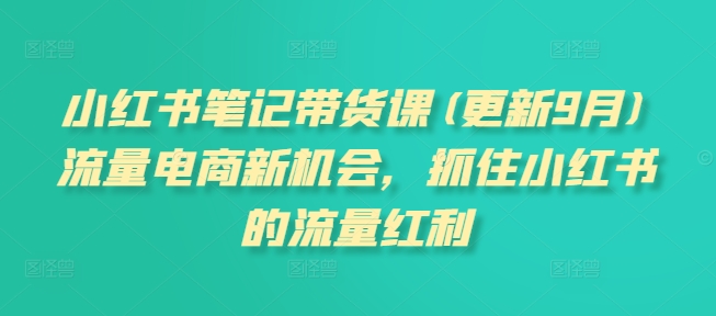 小紅書(shū)筆記帶貨課(更新9月)流量電商新機(jī)會(huì)，抓住小紅書(shū)的流量紅利