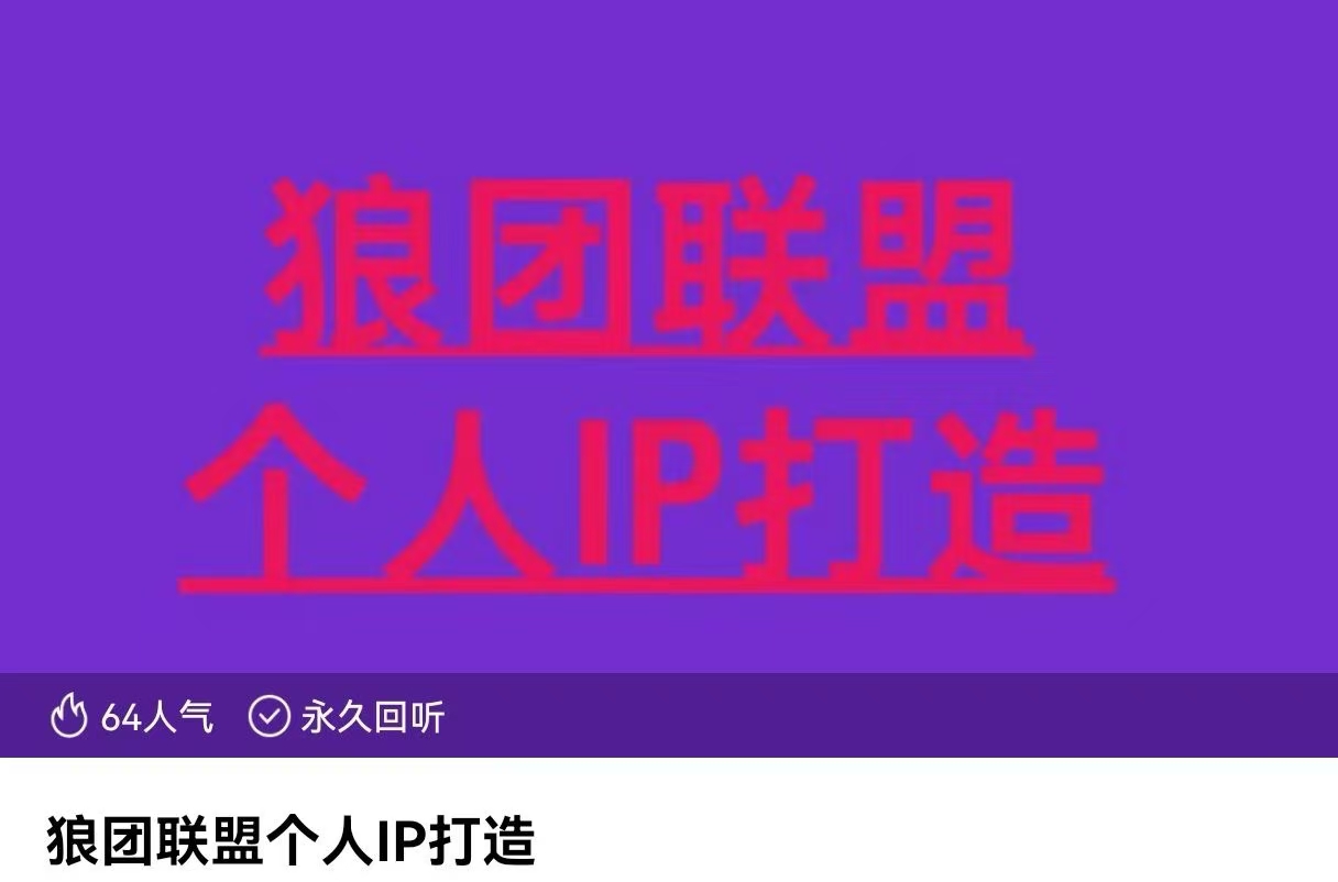 狼團聯盟個人IP打造，個人IP變現全攻略：私域運營,微信技巧,公眾號運營插圖